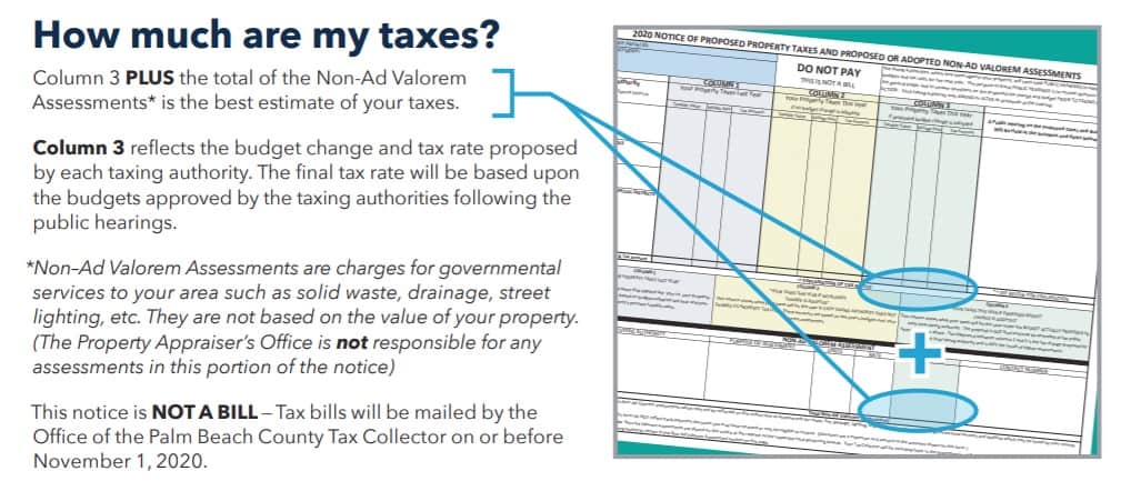 Understanding Palm Beach County Property Taxes [2024] 💸 | The 