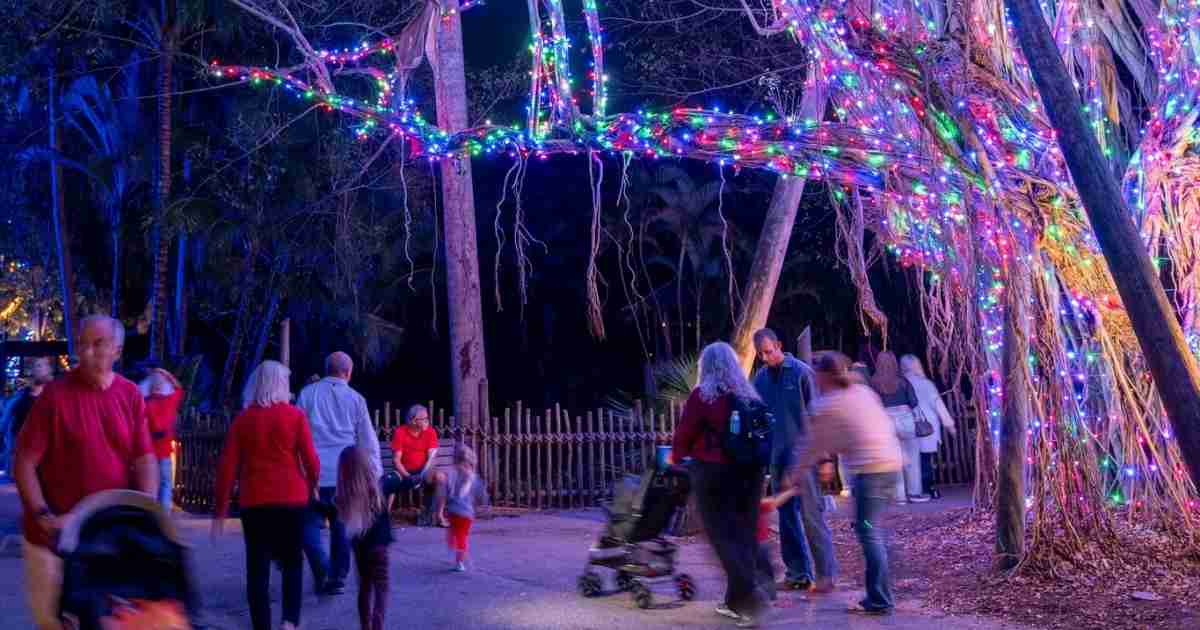 People visiting Zoo Lights at the Palm Beach Zoo