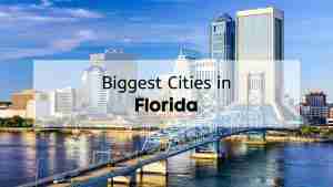 Skyline of Jacksonville